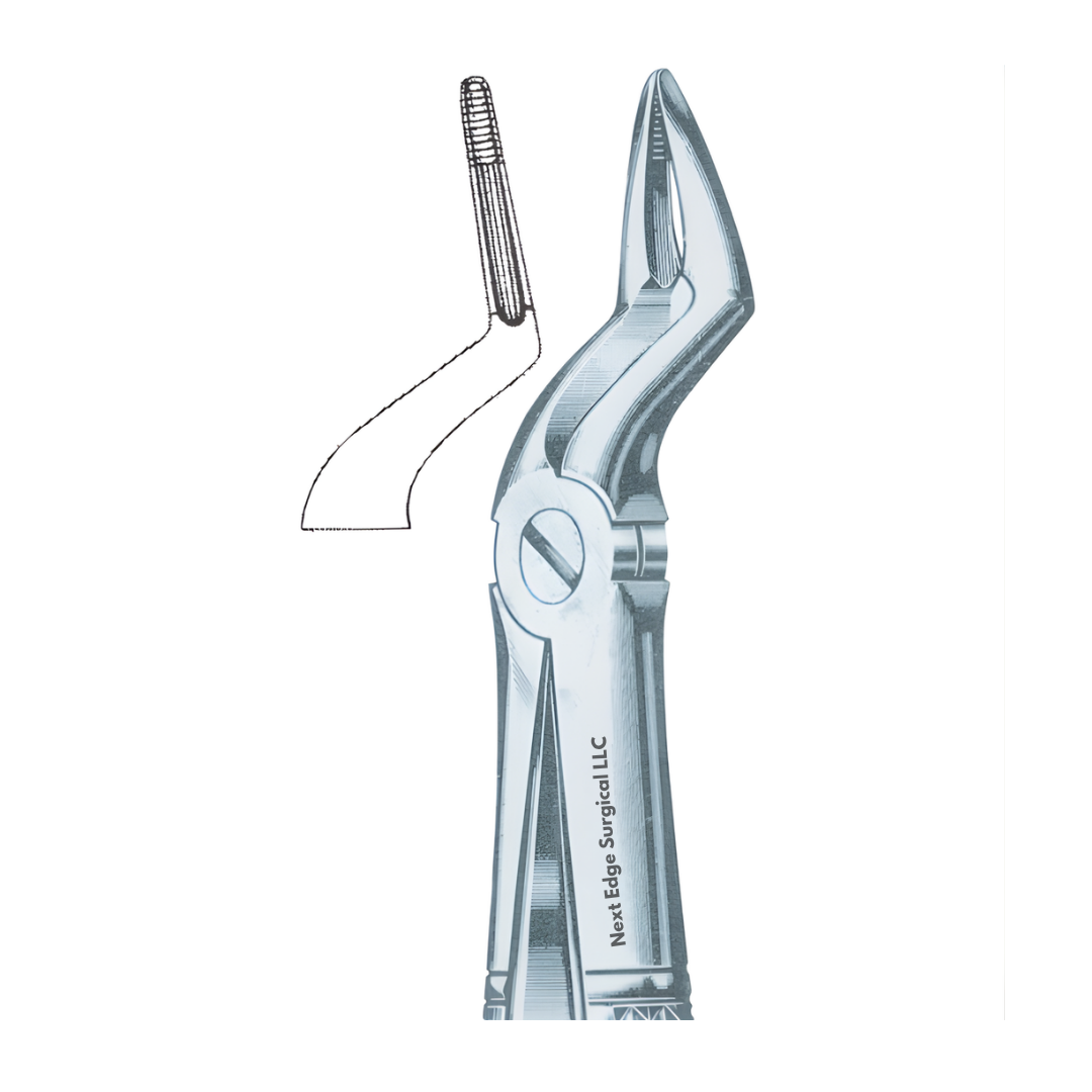 Article-NES-059-1.png Dental Extracting Forceps - Article-NES-059 - Image 1