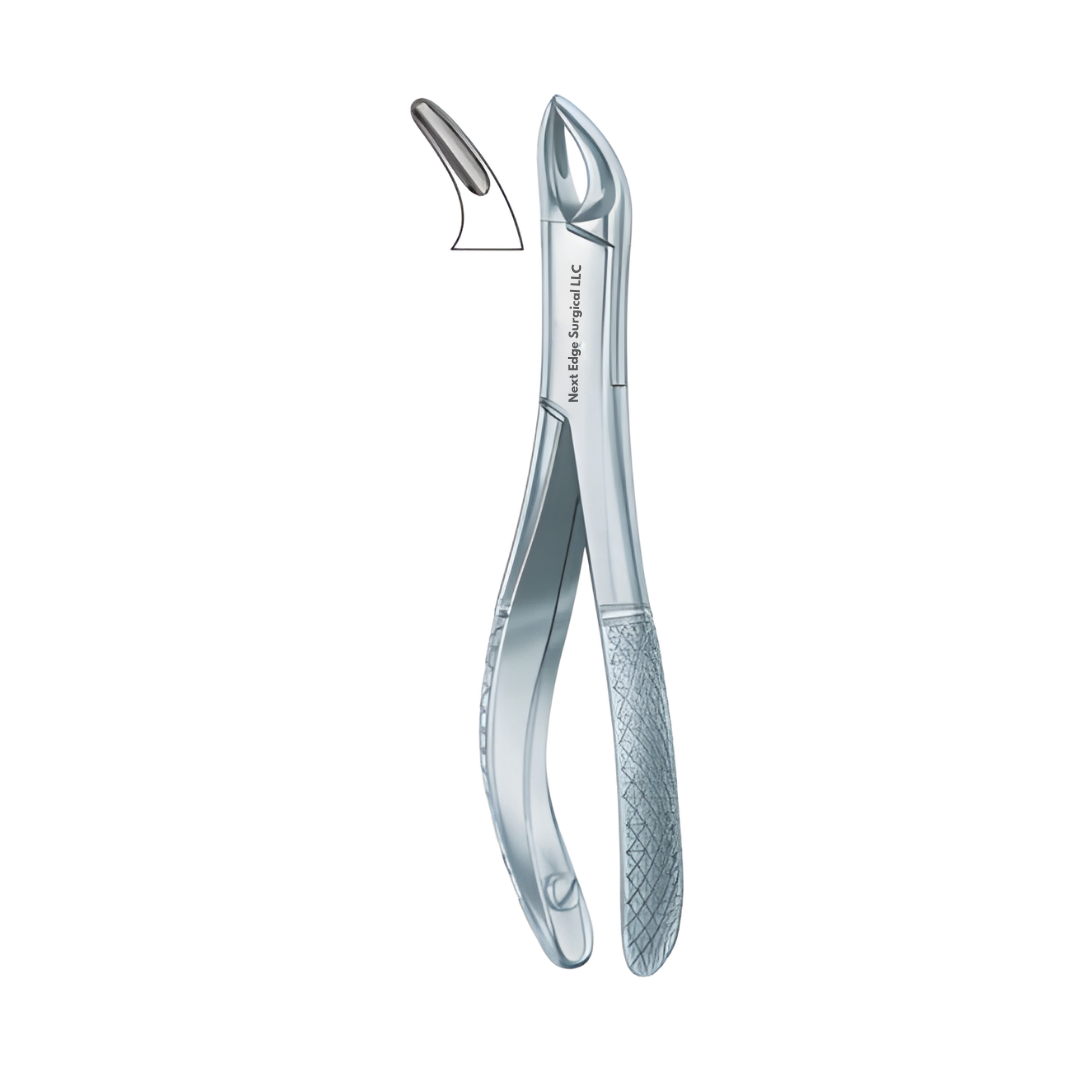 Article-NES-367-1.png Dental Extracting Forceps - Article NES-367 - Image 1