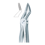 Dental Extracting Forceps - Article NES-407