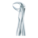 Dental Extracting Forceps - Article NES-429
