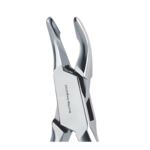 Dental Extracting Forceps - Article NES-458