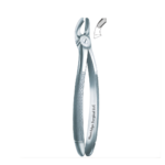 Dental Extracting Forceps - Article-NES-104
